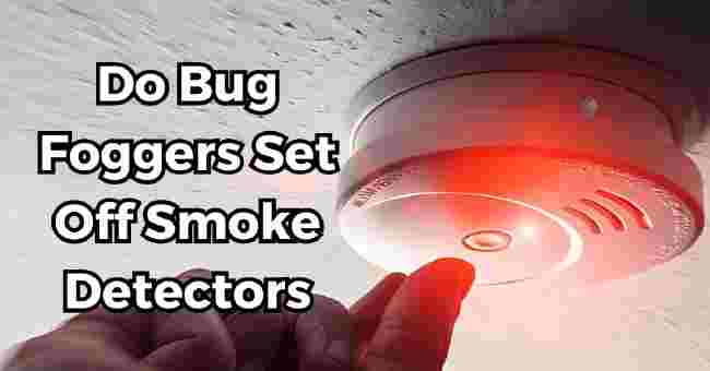 Do Bug Foggers Set Off Smoke Detectors