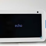 echo show work with adt logo